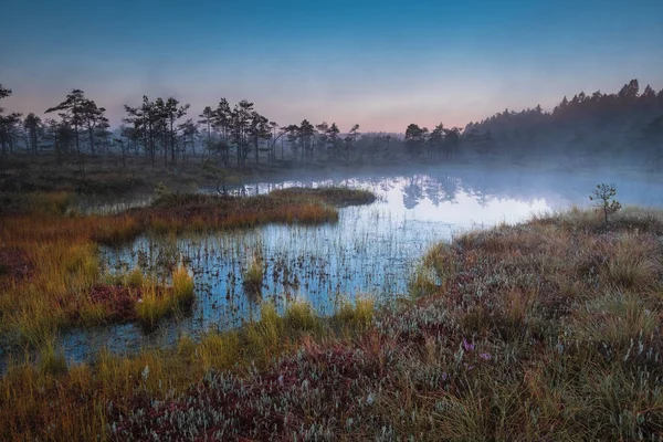 Paysage Coloré Automne Avec Marais Lever Soleil Dans Brouillard — Photo