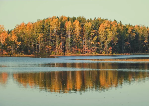 Autumn landscape, forest on a hill on an island among a lake in karelia russia — Stock Image Autumn Landscape Forest Hill Island Lake Karelia Russia Stock Picture