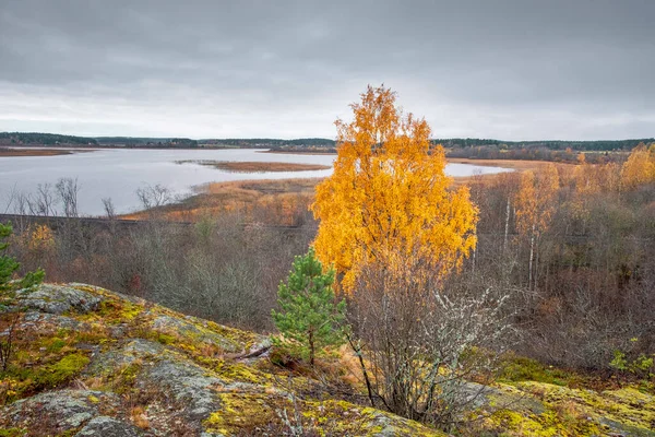 View Karelia Height Mount Paaso Town Sortavala Golden Autumn Time — Stock Photo, Image