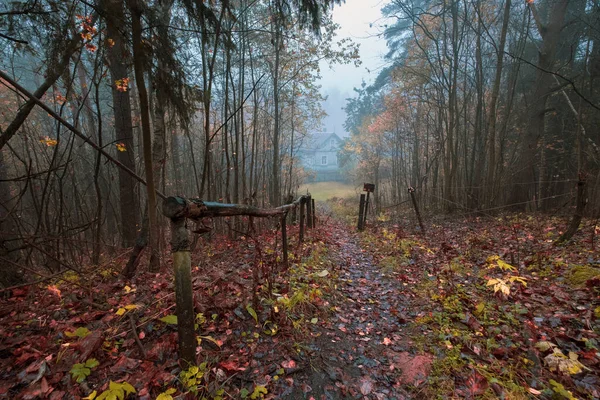 Maison Bois Solitaire Dans Une Forêt Fées Automne Brumeuse — Photo