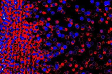 Bokeh-soyutlama: Bir yere volkan kalbinde derin