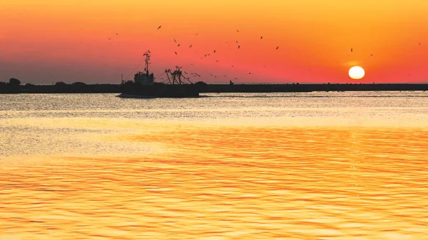 Рибальський Корабель Кружляючими Птахами Тлі Заходу Сонця Тонований — стокове фото