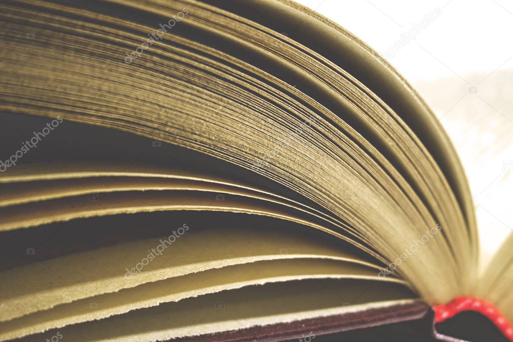 yellowed pages of an old book, retro toned