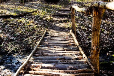 Ormanda ahşap köprü