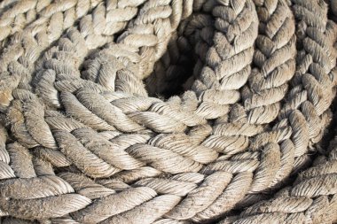 Geminin ipi arka plan dokusu