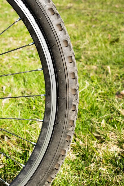 Roue Vélo Sur Herbe — Photo