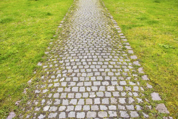 Neat Old Cobblestone Road Trees — Stock Photo, Image