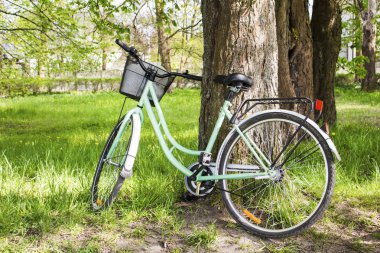 Bisiklet ağacın yanında duruyor