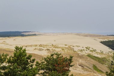Curonian Spit yedekte el değmemiş doğası
