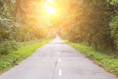 bir yol tonda orman arasında mesafe