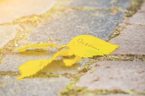 Gelbe Blätter Mit Inschriften Oktober Getönt — Stockfoto