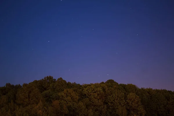 Cielo Estrellado Claro Sobre Bosque — Foto de Stock