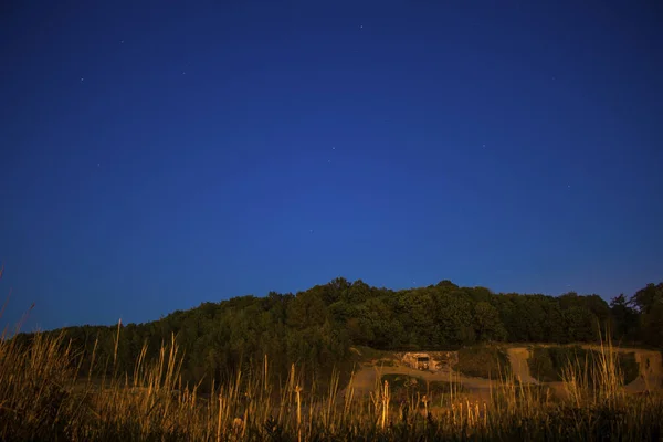 Cielo Estrellado Claro Sobre Bosque — Foto de Stock