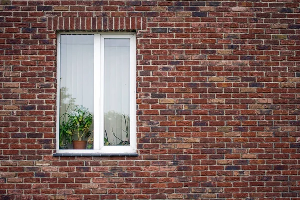 Окно Кирпичной Стене — стоковое фото