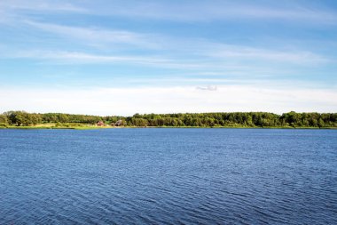 Mavi gökyüzü ve orman göl kenarında