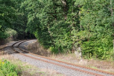 Ormandaki demiryolu.