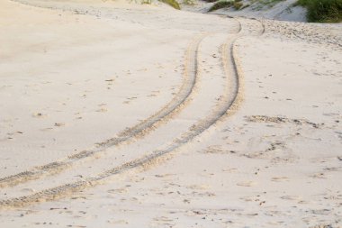 Kumdaki lastik izleri.