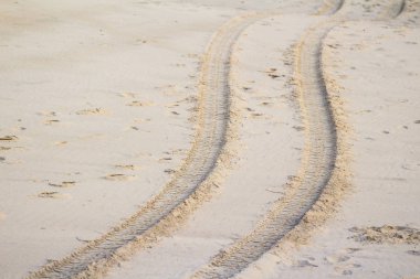 Kumdaki lastik izleri.