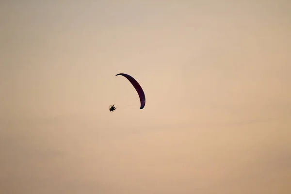 Homme Survole Mer Plage Parapente — Photo