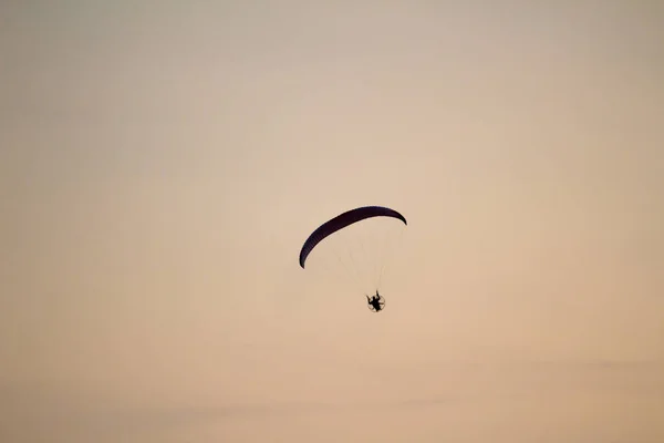 Homme Survole Mer Plage Parapente — Photo