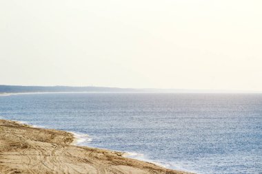 El değmemiş doğası tonda Curonian Spit rezerv