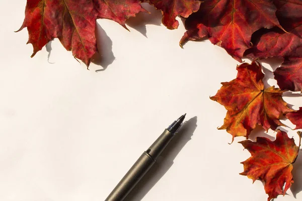 Lettre Automne Stylo Côté Des Feuilles Rouges — Photo