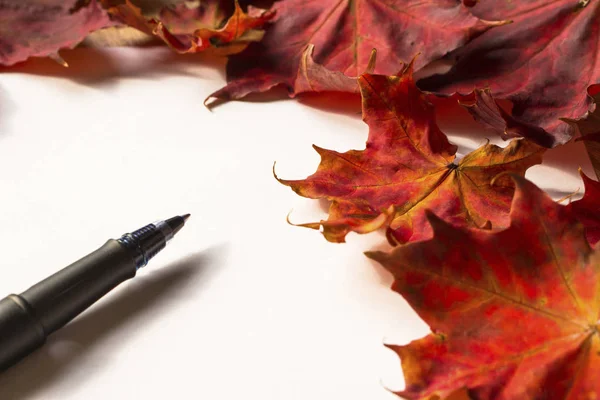 Carta Outono Caneta Lado Folhas Vermelhas — Fotografia de Stock