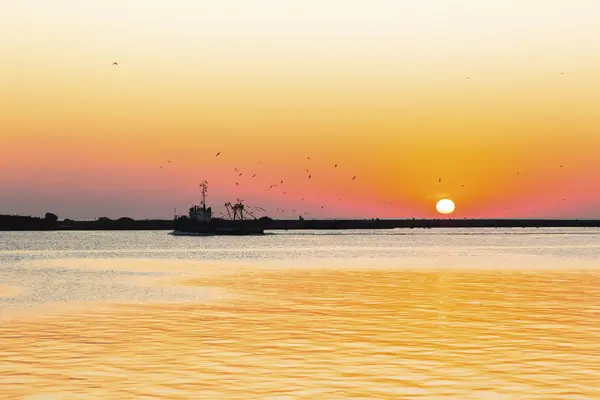 Fischerboot Mit Kreisenden Vögeln Vor Dem Hintergrund Der Untergehenden Sonne — Stockfoto