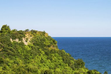 Deniz kenarında güzel yeşil ara