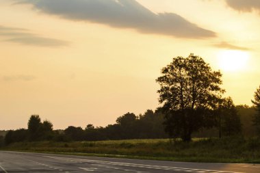 Güneşin Kalkışı arka planı büyük bir ağaç silüeti