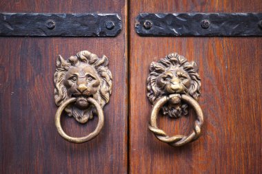 bir aslan bir güzel ahşap kapı şeklinde kapı tokmağı