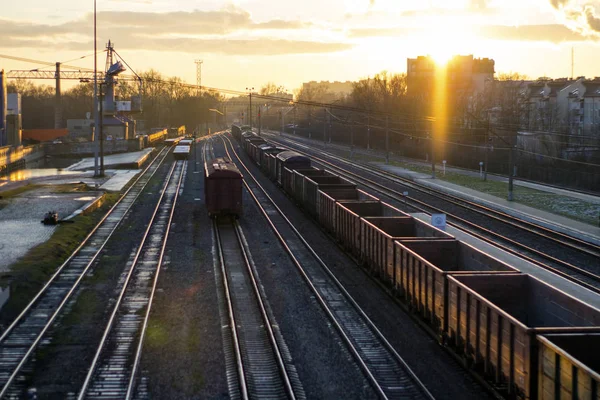 Eisenbahngleise Mit Waggons Bei Sonnenuntergang — Stockfoto