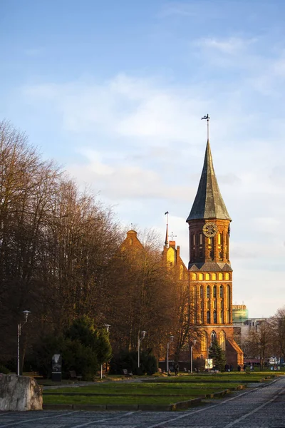 Alten Preußischen Dom Kaliningrad — Stockfoto