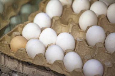 yumurta Mağaza içinde belgili tanımlık tepsi
