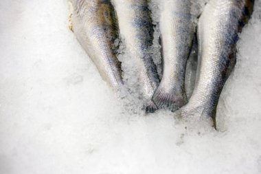 buz üzerinde taze balık kuyrukları
