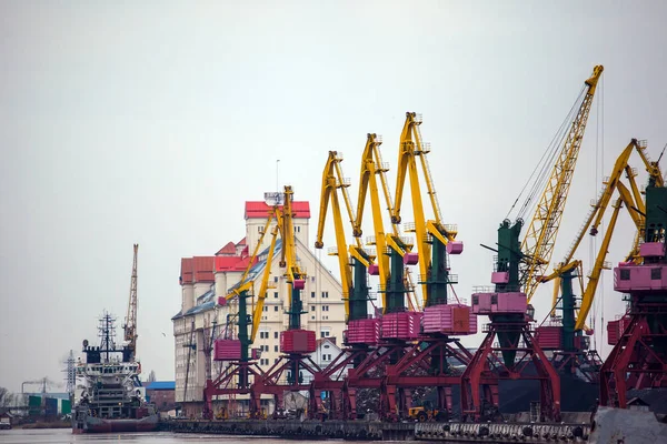 Armazéns Guindastes Porto — Fotografia de Stock