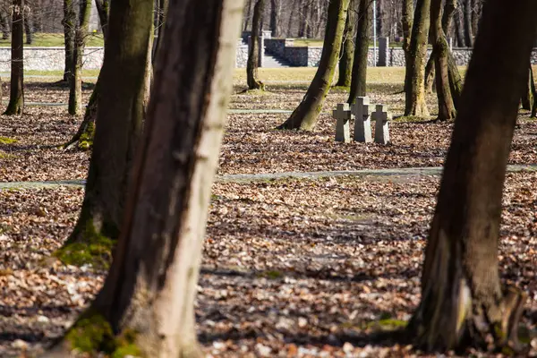 Cemitério Memorial Das Vítimas Segunda Guerra Mundial — Fotografia de Stock