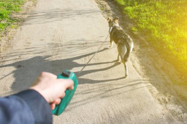 El Köpek tasma tonda tutar.
