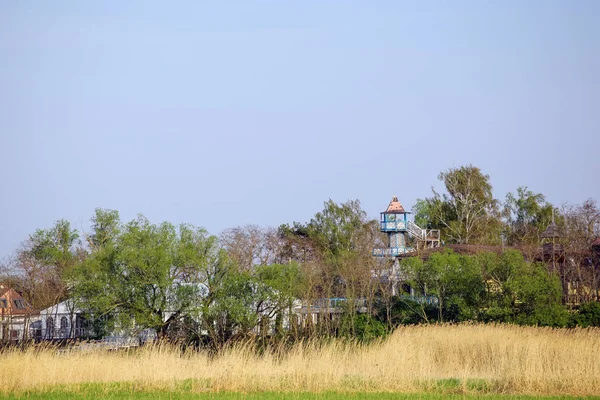 Vieille Tour Observation Abandonnée Sur Rive Lac — Photo