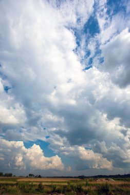 mavi gökyüzü karşı büyük yemyeşil cumulus bulutları