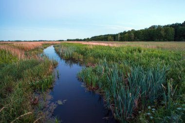 Karanlık su ile yeşil çayır arasında küçük bir nehir manzara akşam