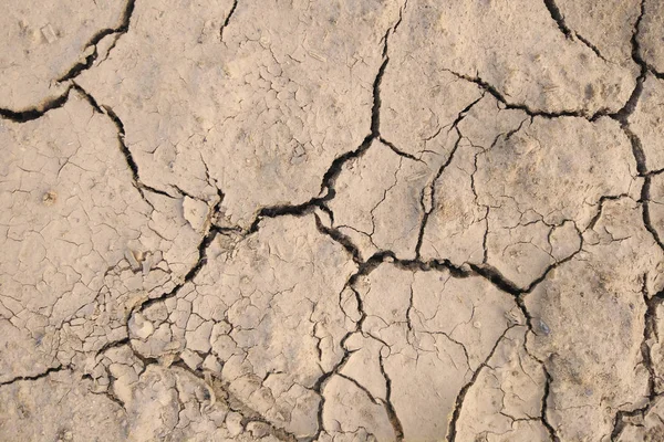 cracks on dried mud, background, texture