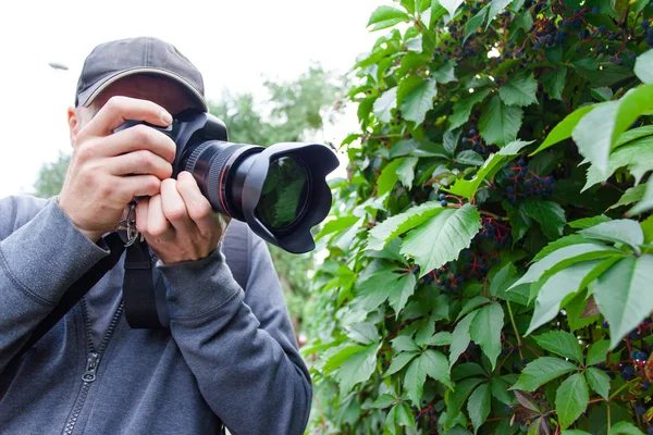 大規模なプロのカメラの男性カメラマンのファインダーに見えるし 緑の植物の葉の写真を撮る — ストック写真