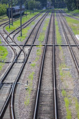 bahçede parlak renkli çiçek