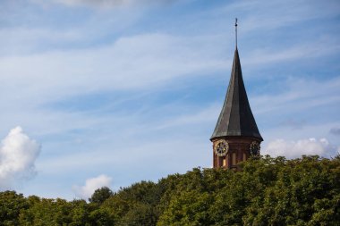 Eski güzel Gotik kilise ağaçlar kron üzerinde