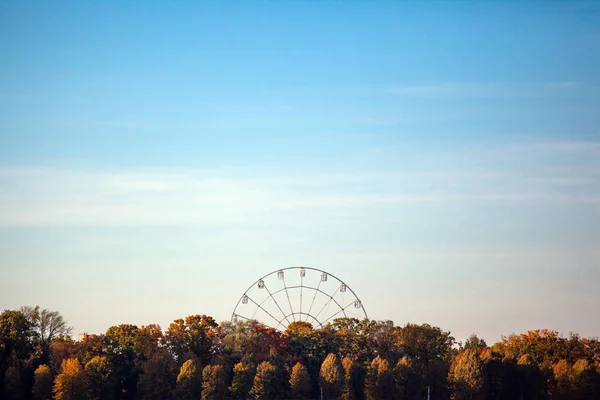 Pariserhjul Över Träd Mot Blå Himmel — Stockfoto