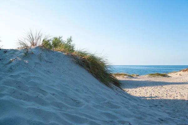 Вид Море Дикий Піщаний Пляж — стокове фото