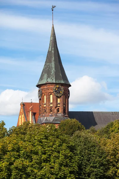 Vieille Belle Église Gothique Sur Les Couronnes Arbres — Photo