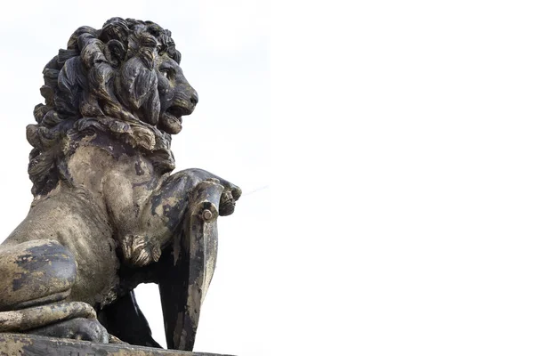 Old Sculpture Snarling Growling Lion Isolated Copy Space — Stock Photo, Image