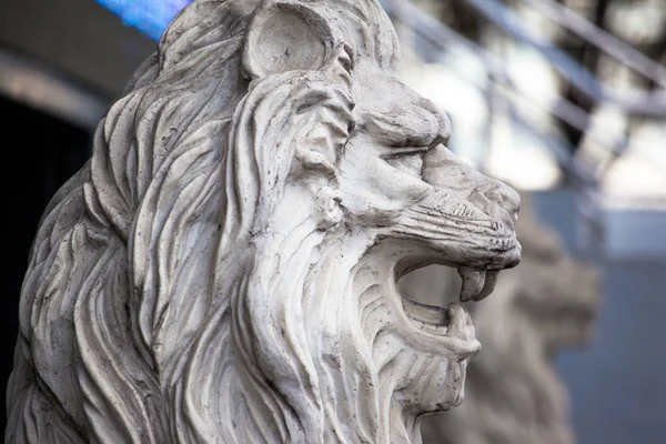 Sculpture Head White Lion — Stock Photo, Image